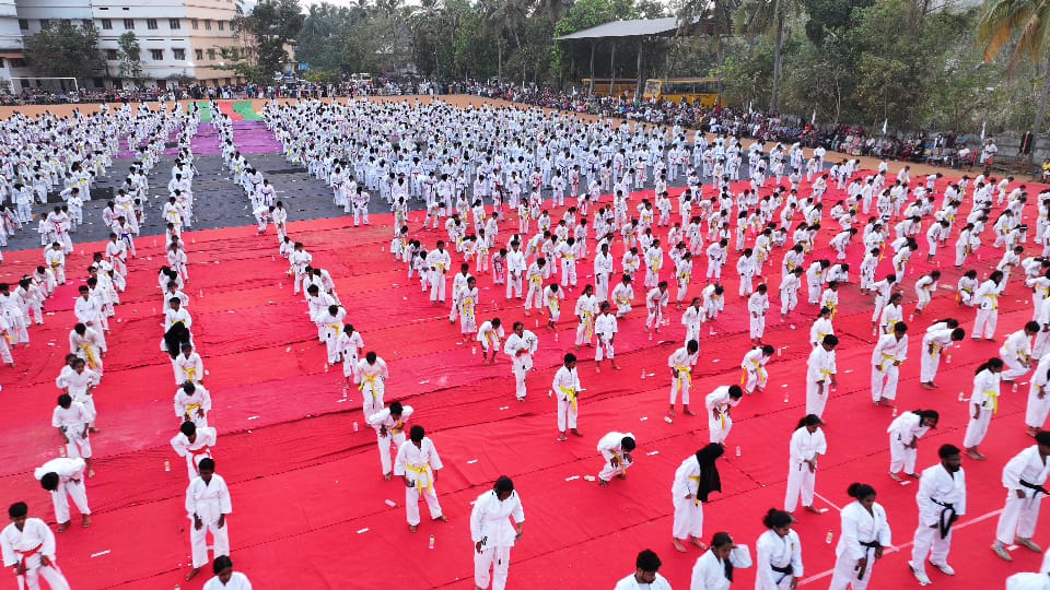 Largest Karate Display Record